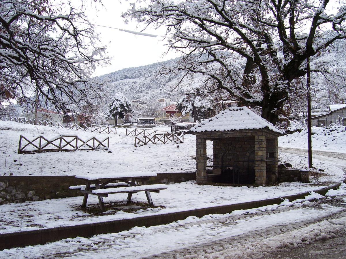 Panorama Kakopleyri Kalabakas Hotel Kakoplevri Kültér fotó