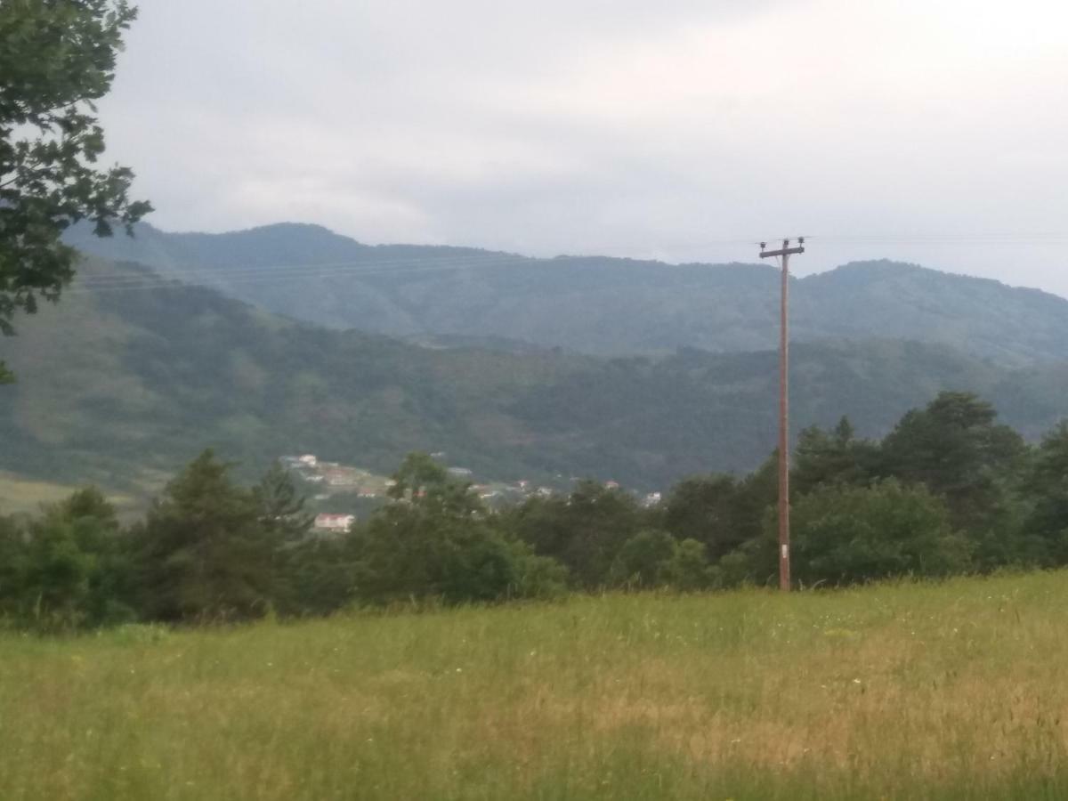 Panorama Kakopleyri Kalabakas Hotel Kakoplevri Kültér fotó